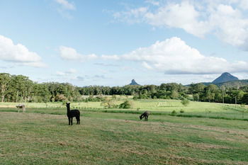 Blackwattle Farm B&B And Farm Stay - Accommodation Perth 43