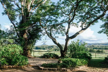 Blackwattle Farm B&B And Farm Stay - Accommodation Perth 45