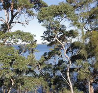 The Edgewater Bed amp Breakfast - Perth Resorts
