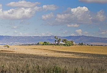 Strathearn Park Lodge - Accommodation Perth 5