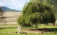 Strathearn Park Lodge - thumb 17