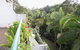 Palm Court Noosa - thumb 7