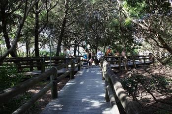 Palm Court Noosa - Accommodation Perth 10