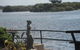 Black Swan Waterfront Motel - thumb 3
