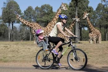 Zoofari Lodge, Taronga Western Plains Zoo - Accommodation Perth 7