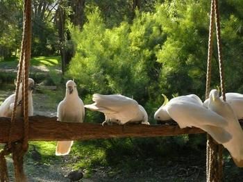 The Burrow At Wombat Bend - Accommodation Perth 5