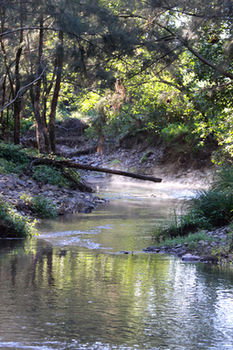 Yabbaloumba Retreat - Perth Resorts 5