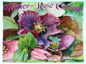 A Winter-rose Cottage B&B - Accommodation Perth 0