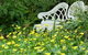 A Winter-rose Cottage B&B - thumb 4