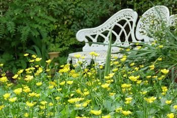 A Winter-rose Cottage B&B - Accommodation Perth 4