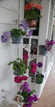 A Winter-rose Cottage B&B - Accommodation Perth 5