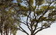 Langley Park Apartments - thumb 5