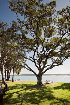 Langley Park Apartments - Accommodation Perth 5