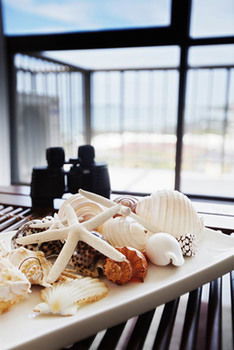 Langley Park Apartments - Accommodation Perth 19