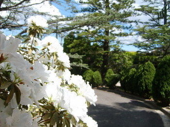 Tantarra Bed And Breakfast - Accommodation Perth 15