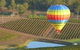 Hunter Valley Bed & Breakfast - thumb 1