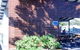 Woolgoolga Beach Holiday Park - thumb 6