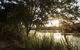 Ingenia Holidays Nepean River - thumb 41