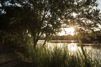 Ingenia Holidays Nepean River - Accommodation Perth 41