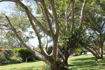 Buderim Fiesta Motel - Perth Resorts 19