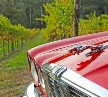 Valley Farm Vineyard Cottages - Perth Resorts 1