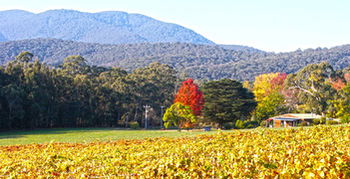 Valley Farm Vineyard Cottages - Perth Resorts 11