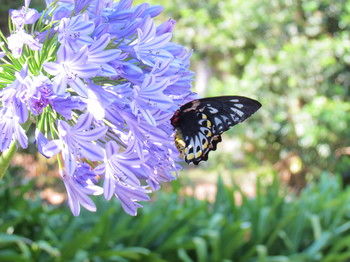 Amytis Gardens Retreat Spa And Cooking School - Accommodation Perth 4