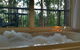Amytis Gardens Retreat Spa And Cooking School - thumb 25
