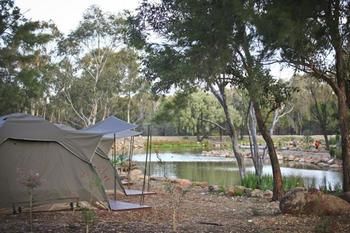 Billabong Camp, Taronga Western Plains Zoo - Accommodation Perth 3
