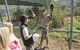 Billabong Camp, Taronga Western Plains Zoo - thumb 10