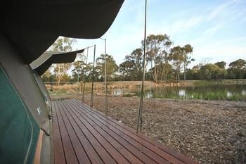 Billabong Camp, Taronga Western Plains Zoo - Accommodation Perth 11