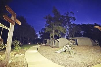 Billabong Camp, Taronga Western Plains Zoo - Accommodation Perth 12