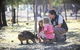 Billabong Camp, Taronga Western Plains Zoo - thumb 14