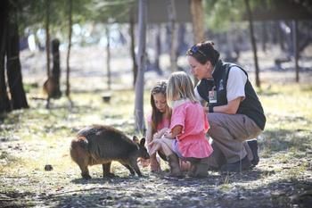 Billabong Camp, Taronga Western Plains Zoo - Accommodation Perth 14