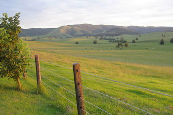 The Wattle Lodge - Accommodation Perth 21