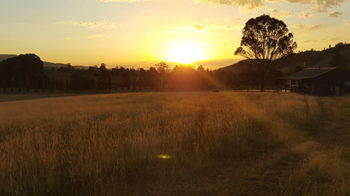 The Wattle Lodge - Accommodation Perth 35