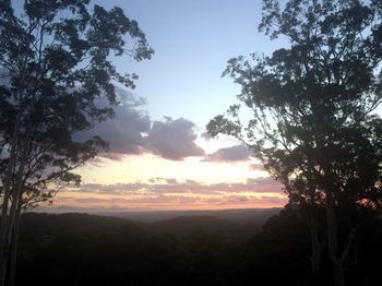 Phoenix Eumundi Bed & Breakfast - Accommodation Perth 14