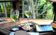 Phoenix Eumundi Bed & Breakfast - thumb 20