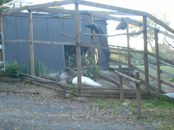 A Twist Of Willow - Accommodation Perth 20