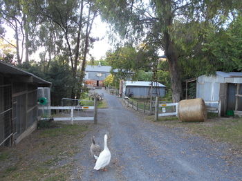 A Twist Of Willow - Accommodation Perth 21
