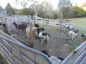 A Twist Of Willow - Accommodation Perth 27