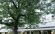 A Settler's Cottage - thumb 17
