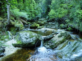 Tarkine Wilderness Experience At Corinna - Accommodation Perth 0