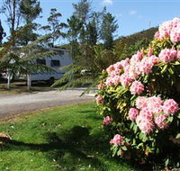 Zeehan Bush Camp  and Caravan Park - Accommodation Perth