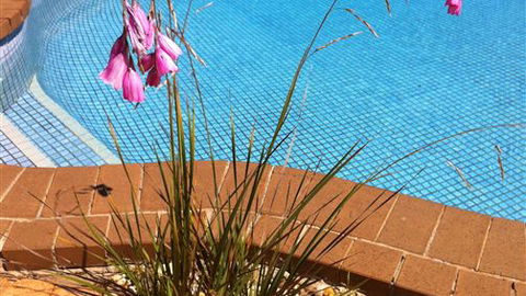 The Murray View Motel - Accommodation Perth 6