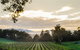 Ainsworth Estate - thumb 1