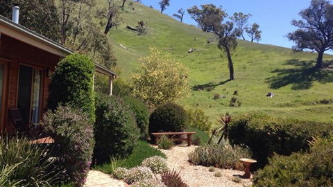 Strath Valley View Bed And Breakfast - Accommodation Perth 5