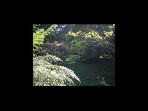 A Country House At Winstanley - Perth Resorts 4