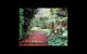 A Country House At Winstanley - thumb 2
