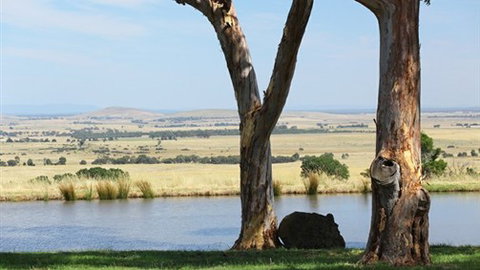 Tuki Trout Farm And Retreat - Accommodation Perth 3